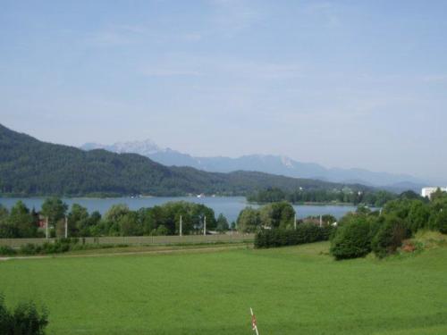 photo19
