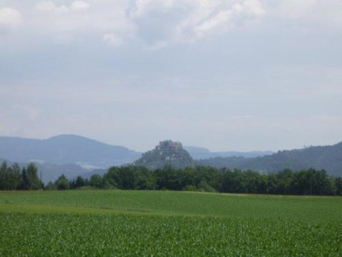 photo26