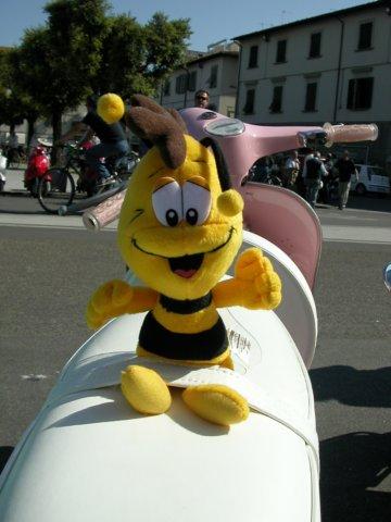photo9