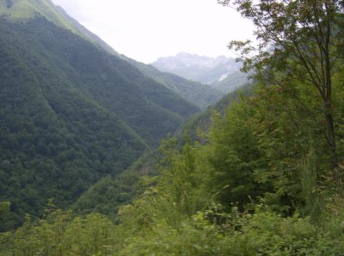 Image00005