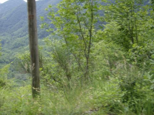 Image00006
