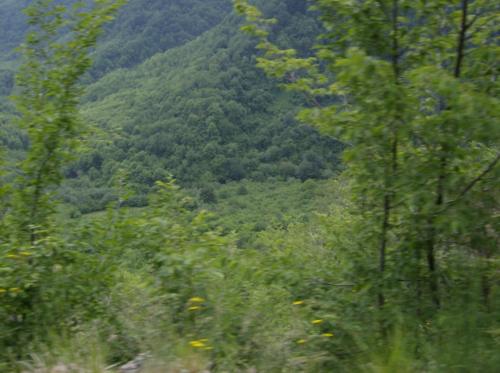 Image00007