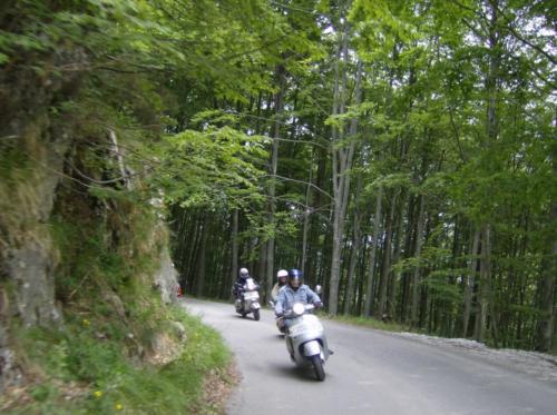 Image00008