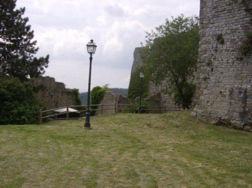 photo31