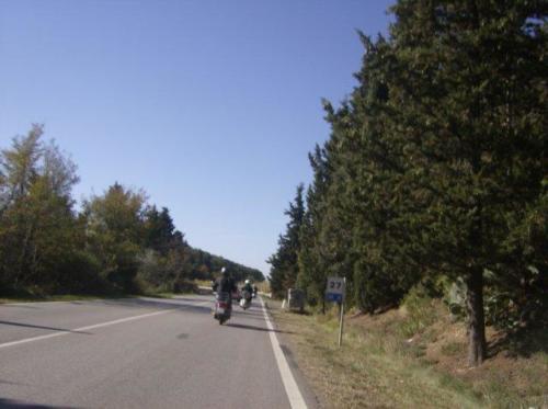 castagnataortimino04110712
