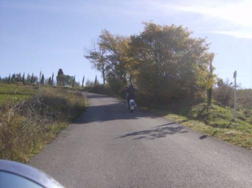 castagnataortimino0411075