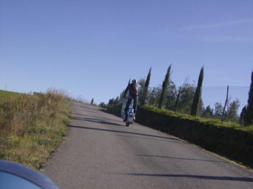 castagnataortimino0411076