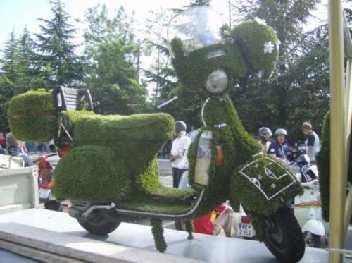 photo20