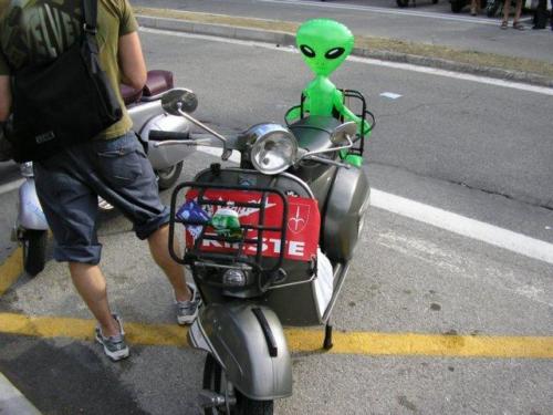 photo46