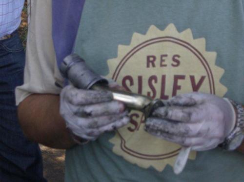 photo41
