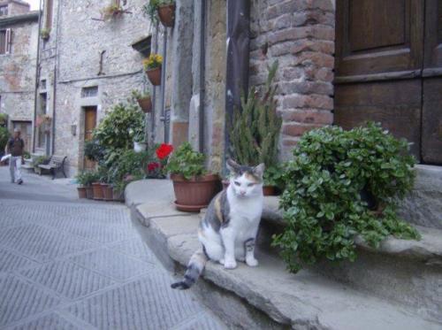 anghiari1210200833