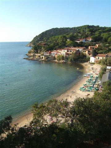 elba24