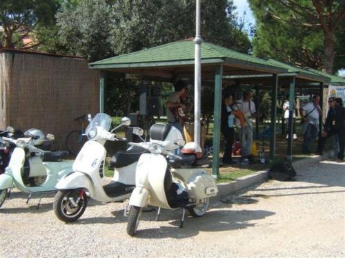 elba80