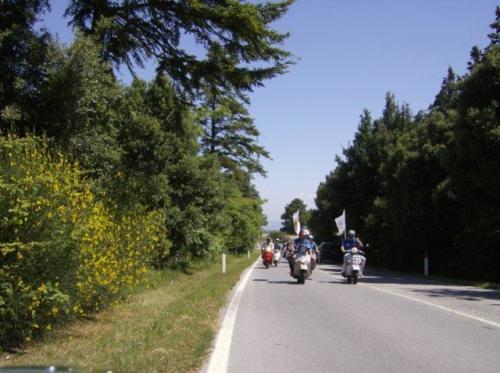 radunogambassi36