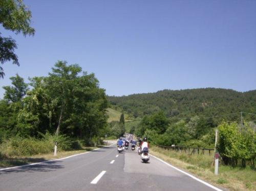 radunogambassi49