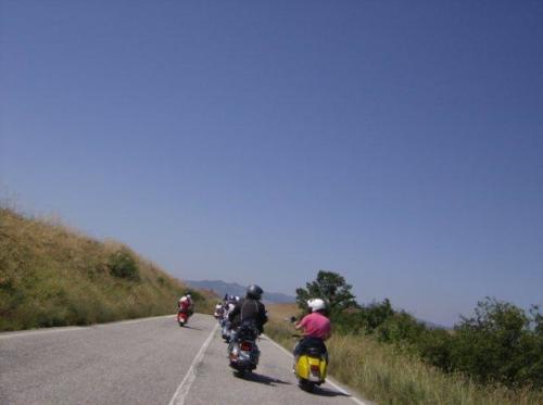 radunogambassi54