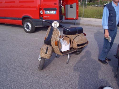 levespevistedailghizzone20
