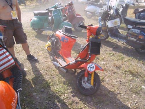 levespevistedailghizzone4