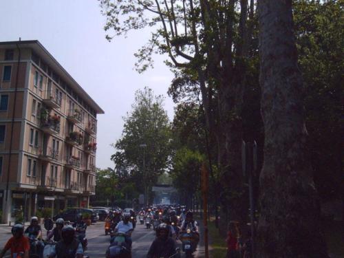 paratavistadailghizzone1