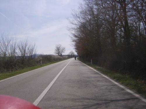 sgalgano22