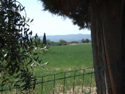 montevarchi3108200849