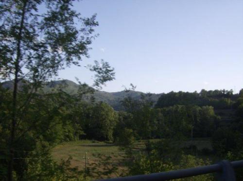 radunofieschi05060920094