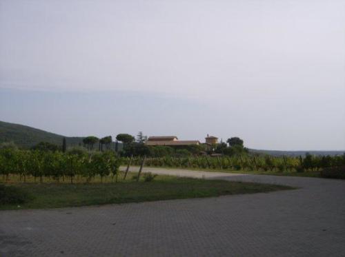 radunogavorrano080908200913