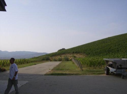 radunogavorrano080908200914