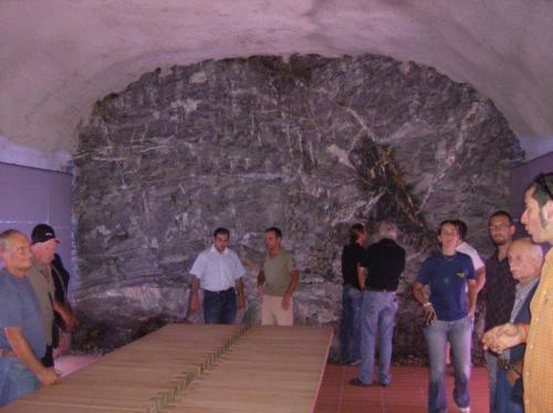 radunogavorrano080908200923