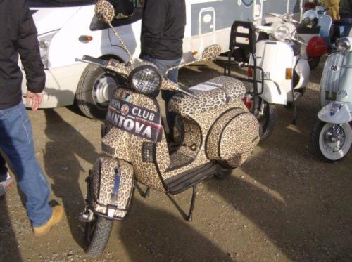 cimentoinvernale20103