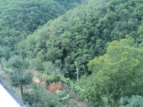 dsc00903