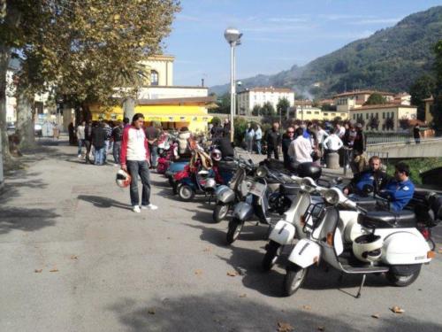 11-VespaFungata (10.10.2010)