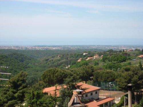 gitamontescudaio8
