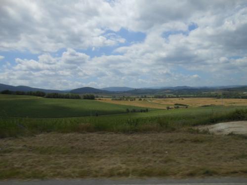 DSCN1435
