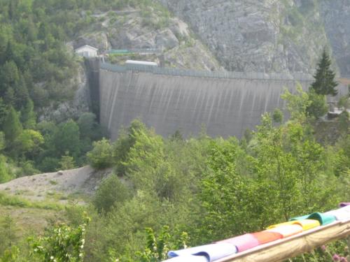 IMG 0005