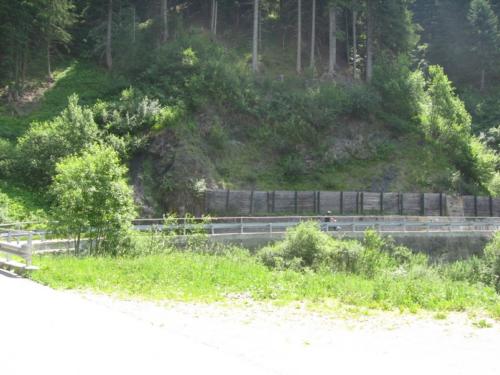 IMG 0054