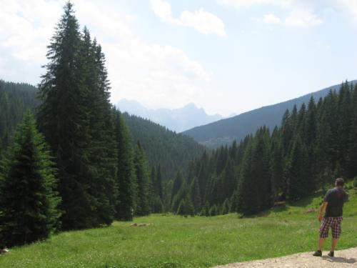 IMG 0079