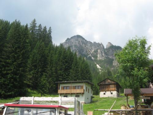 IMG 0081