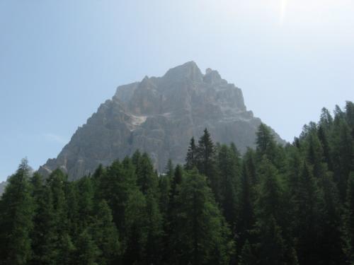 IMG 0129