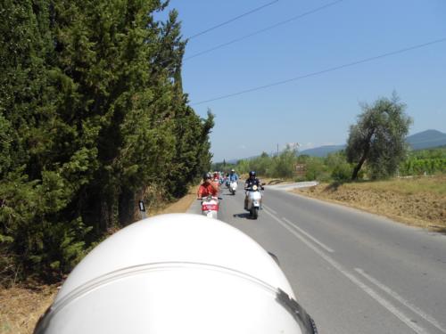 DONORATICO  2012 020