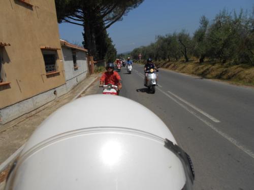 DONORATICO  2012 022