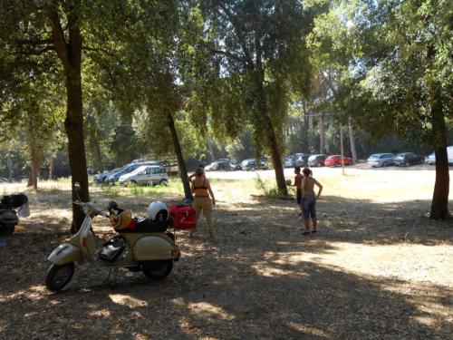 DONORATICO  2012 033