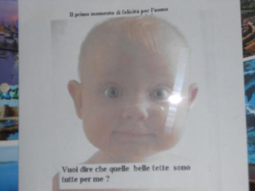 DONORATICO  2012 041