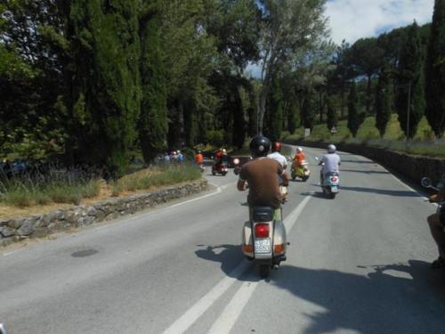 Barga (31)