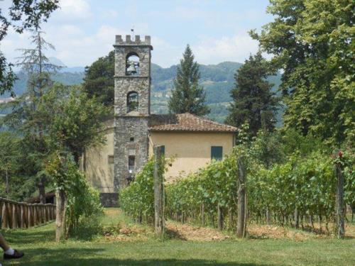 Barga (39)