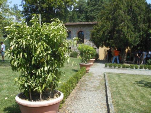 Barga (40)