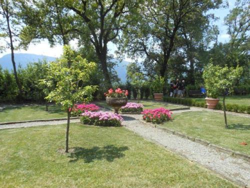 Barga (43)