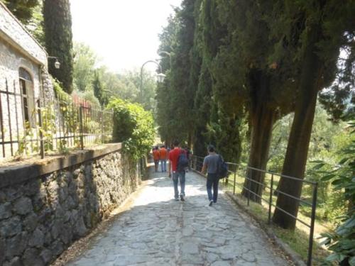 Barga (45)