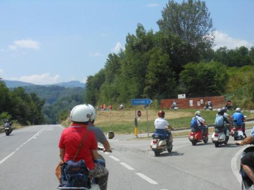 Barga (50)