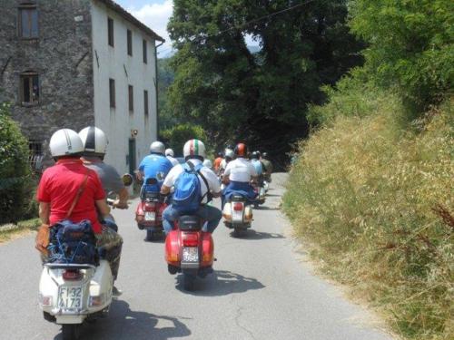 Barga (51)